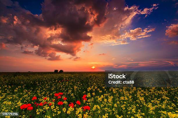 Dramatische Abend Sturm Himmel Stockfoto und mehr Bilder von Abenddämmerung - Abenddämmerung, Baum, Blau