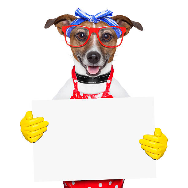 housewife dog