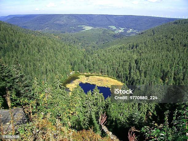 Vogelperspektive Des Alpin Lake Schreeksee In Bayern Stockfoto und mehr Bilder von Allgäu