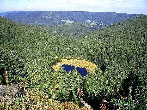 bird's eye view of alpin озеро schreeksee в баварии - hoirzontal стоковые фото и изображения