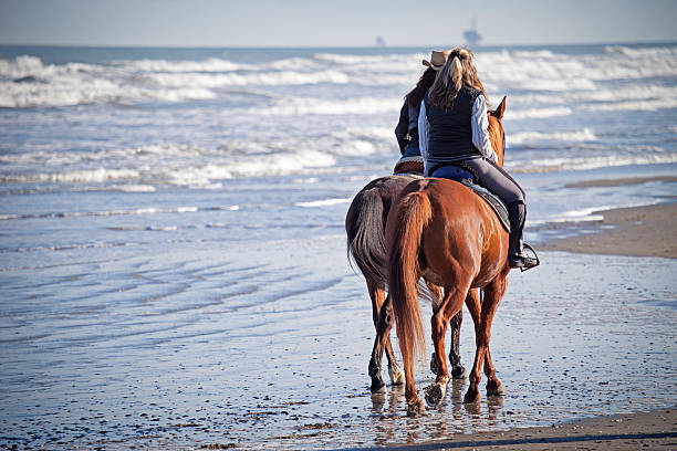 istock Riding Horses on the Beach 178780050