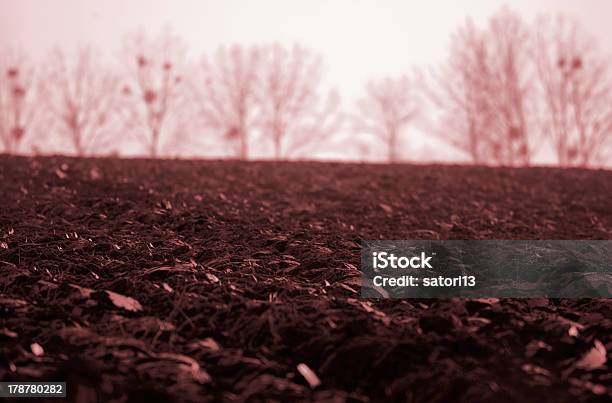 Lifeless Field Stock Photo - Download Image Now - Climate, Grief, Horizontal