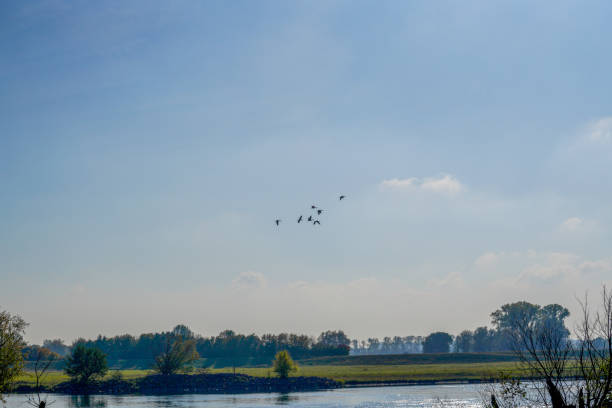 Autumn in Bavaria in the countryside with meadows and streams