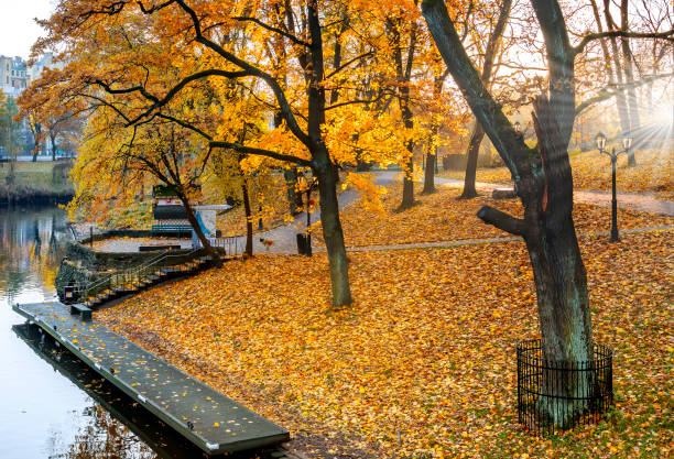 istock Golden autumn in old public park 1787809451
