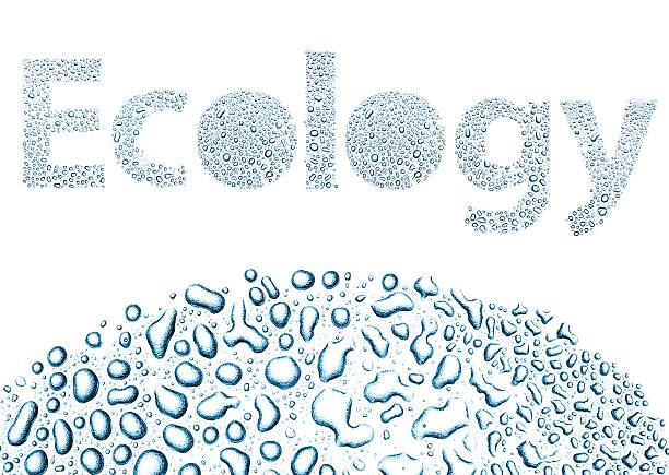istock Ecology made of water drops, background on white 178780999
