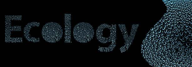 istock Ecology made of water drops, background on black 178781003