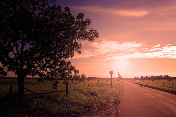 istock Asphalt road in sunset with ray of sunshine 178781275