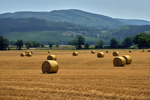 Burgundy, France, Morvan, agricultural field in the heat of the summer, parc naturel reginal du morvan