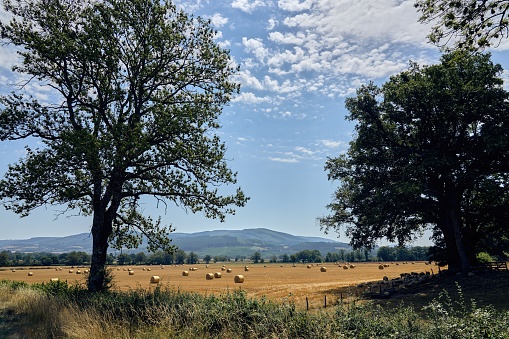 Bugundy, France, Morvan, agricultural fields in the heat of the summer, parc naturel reginal du morvan