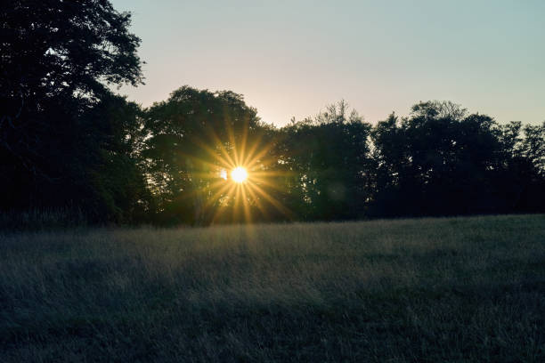 istock Low sun on the summit of Mont Beuvray with sun star 1787816782
