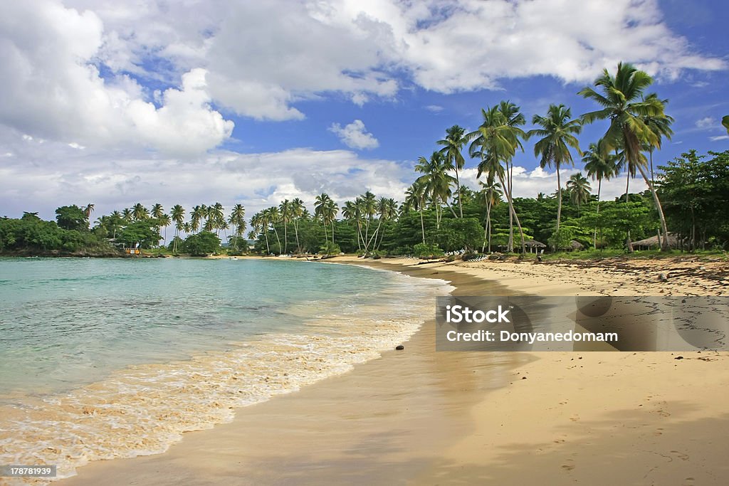 Rincon spiaggia, Penisola di Samaná - Foto stock royalty-free di Acqua