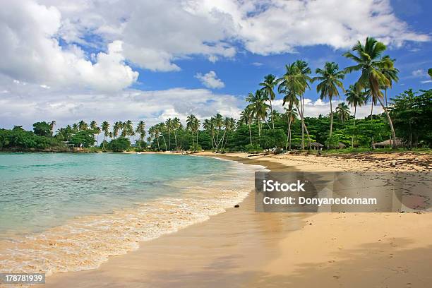 Rincon Пляж Полуостров Самана — стоковые фотографии и другие картинки Атлантический океан - Атлантический океан, Без людей, Береговая линия