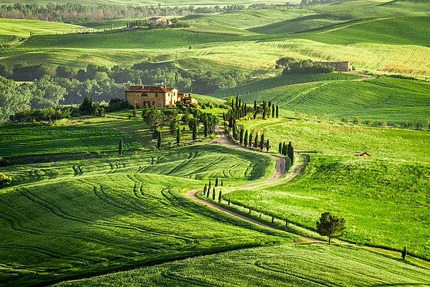 istock Farmhouse in Tuscany located on a hill 178782692