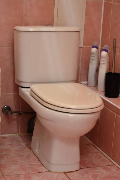 istock toilet in the bathroom 1787829432