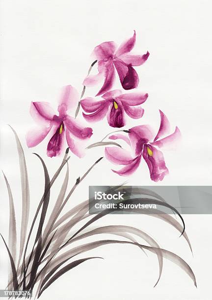 Lilás Orquídeas - Arte vetorial de stock e mais imagens de Orquídea - Flor tropical - Orquídea - Flor tropical, Pintura, Arte