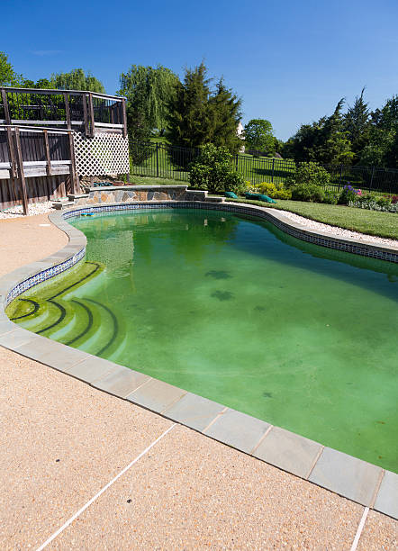 istock Filthy backyard swimming pool and patio 178783202