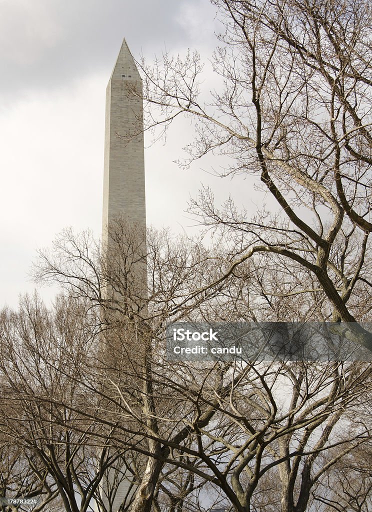 El monumento a Washington, DC - Foto de stock de Aire libre libre de derechos