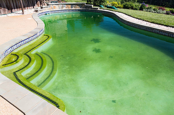istock Filthy backyard swimming pool and patio 178783513