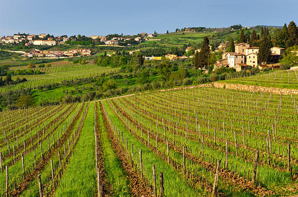 istock Chianti landscape, Tuscany, Italy 178783631