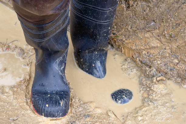 Black work rubber boots in use in the muddy ditch. stock photo