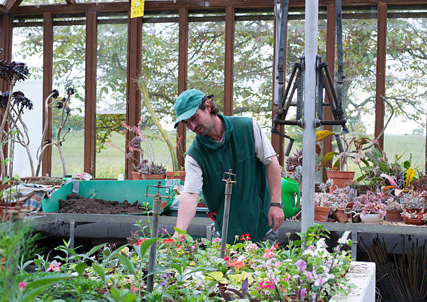 istock Greenhouse gardening 178783820