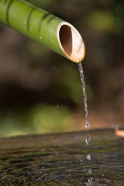 istock Bamboo fountain in japanese temple 178785185