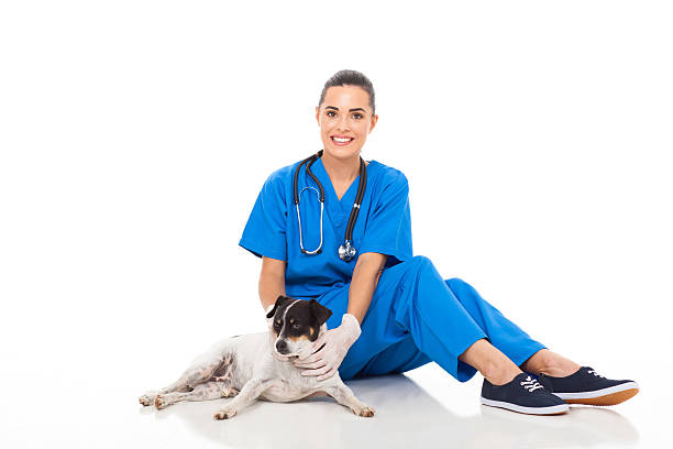istock female veterinarian sitting with dog 178785334