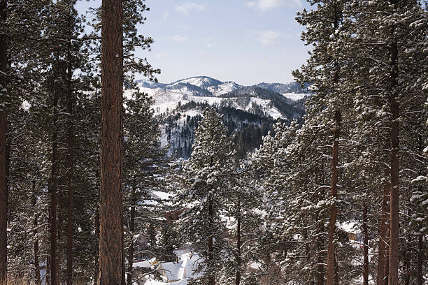 Winter landscape in the Black Hills, South Dakota View of snow-capped mountains through the forest in the Black Hills of South Dakota black hills photos stock pictures, royalty-free photos & images