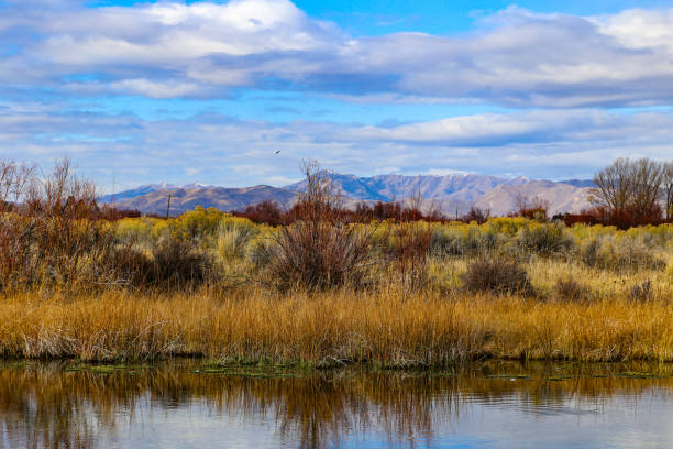 istock Silver Creek Nature Conservancy near Sun Valley, Idaho 1787863447