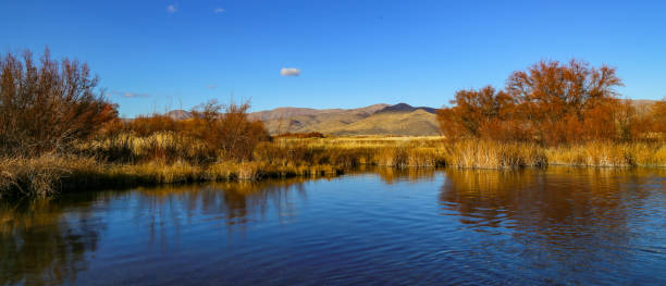 istock Silver Creek Nature Conservancy near Sun Valley, Idaho 1787866088