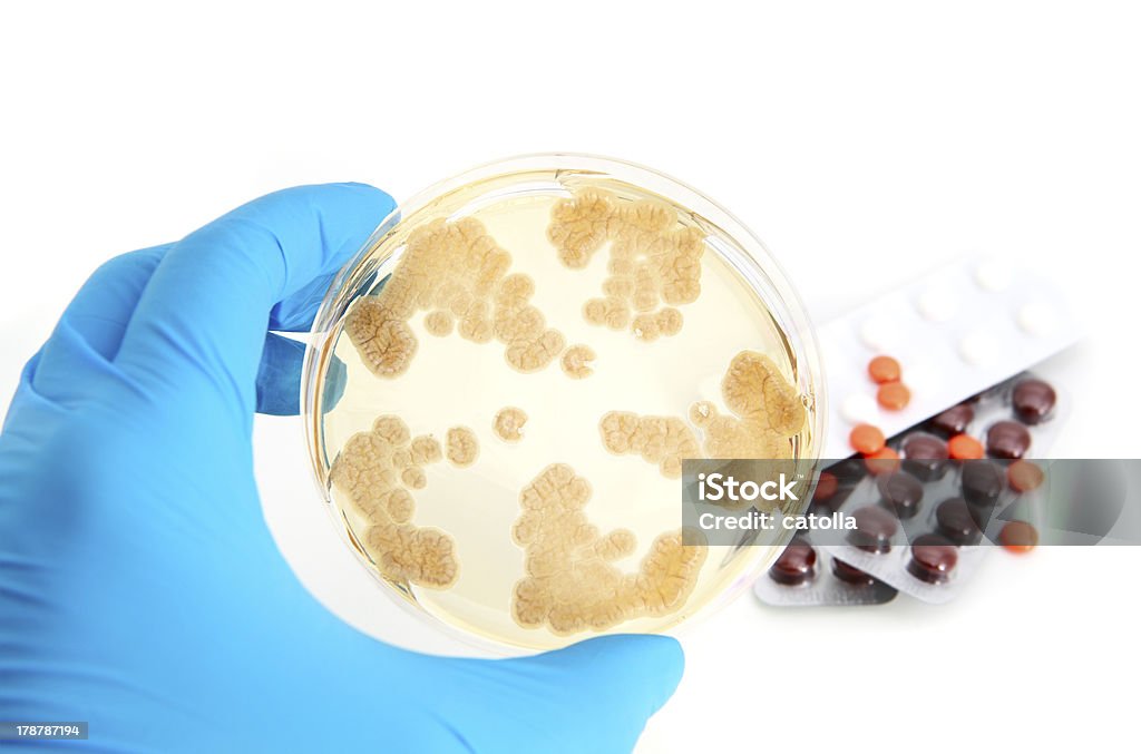 Penicillum fungos em ágar placa e antibióticos - Royalty-free Antibiótico Foto de stock