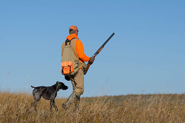 Out Pheasant Hunting Out Pheasant Hunting on the prairie with his dog hunting stock pictures, royalty-free photos & images
