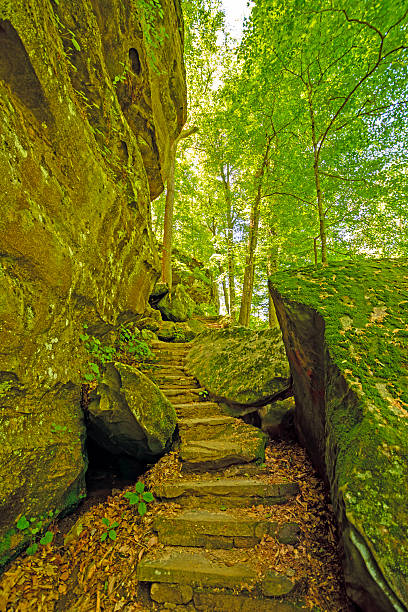 abgeschiedenen gelände in einem wald-canyon - shawnee national forest stock-fotos und bilder