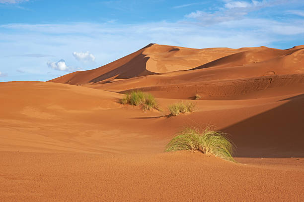 istock Sand Dunes in the Sahara 178788201