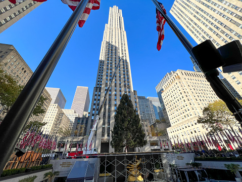 Rockefeller Center Christmas Tree arrives (today) on the Plaza in Mid-Manhattan, New York City.