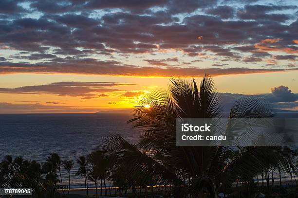 Foto de Maui Pôrdosol e mais fotos de stock de Acampamento de Férias - Acampamento de Férias, Amarelo, Beleza natural - Natureza