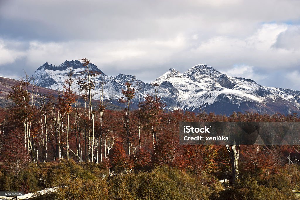 Autumn in Patagonia. Darwin Range, Tierra del Fuego Autumn in Patagonia. Cordillera Darwin, part of Andes range, Isla Grande de Tierra del Fuego, Chilean territory, view from the Argentine side Ilha Grande Stock Photo