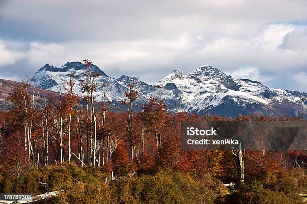 Autumn In Patagonia Darwin Range Tierra Del Fuego Stock Photo - Download Image Now