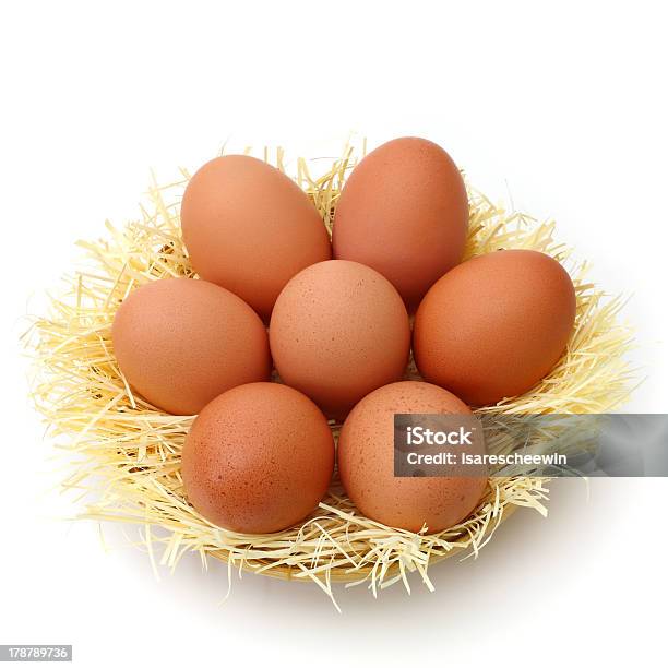 Fresh Farm Eggs Stock Photo - Download Image Now - Animal Egg, Arrangement, Basket