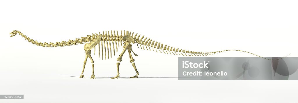 Диплодок динозавр полный skeleton photorealistc рендеринга. - Стоковые фото Ископаемое роялти-фри