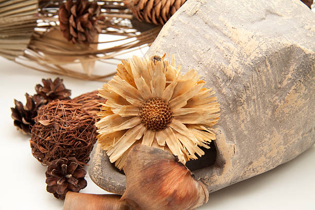 istock Dry flowers in vase 178790198