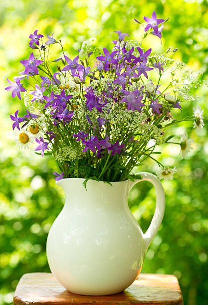 istock bunch of summer flowers 178790989