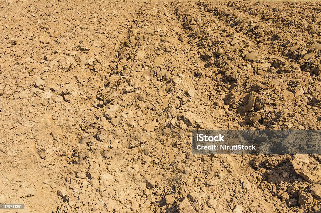 Furrow Arado - Royalty-free Agricultura Foto de stock