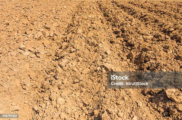 Furrow Arado - Fotografias de stock e mais imagens de Agricultura - Agricultura, Ao Ar Livre, Cena Rural