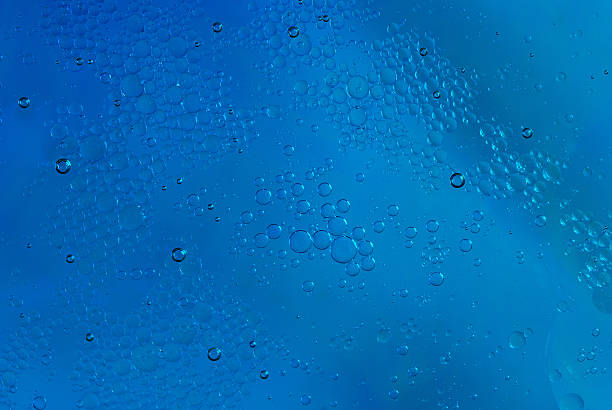 istock little fat in blue water 178791450