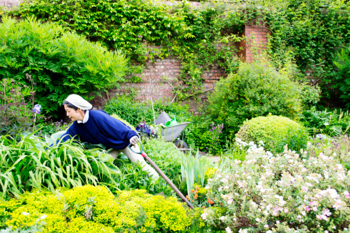 A female gardener tends to the herbaceous borders in a garden at a country estate.