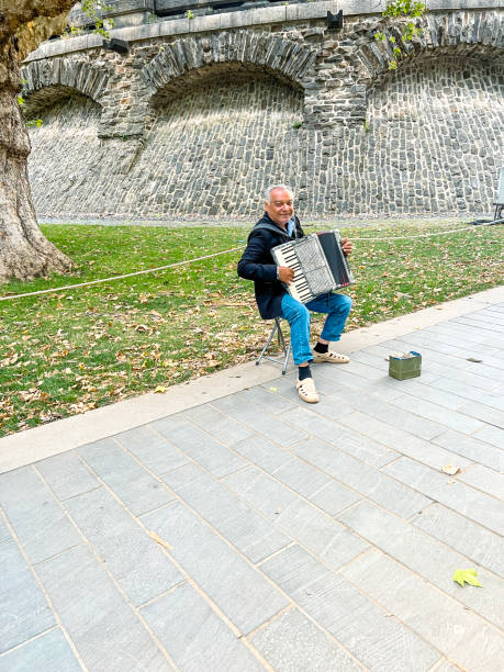 Musician playing Accordion,
