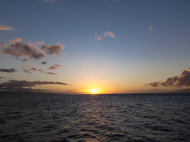 maui sonnenuntergang - kihei kaanapali lahaina coconut palm tree stock-fotos und bilder