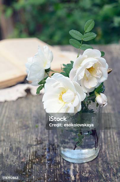 Dog Rose Blumen In Einem Glas Auf Verrostete Holztisch Stockfoto und mehr Bilder von Altertümlich