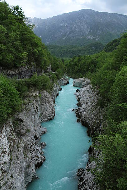 istock River landscape in Slovenia 178793669